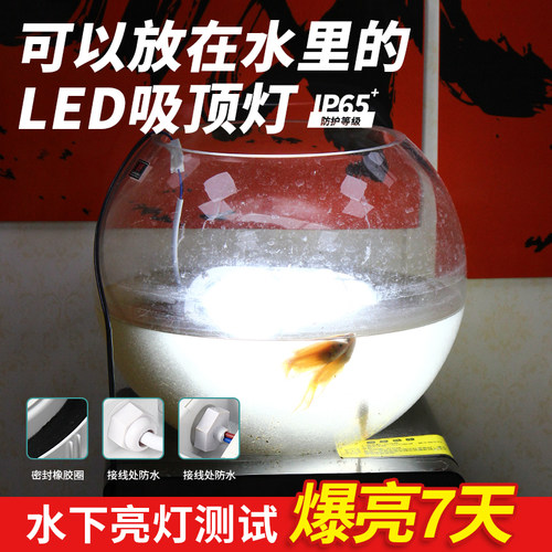LED防水灯防潮灯防爆吸顶灯浴室壁灯冷库灯户外三防灯吸顶灯IP65 - 图0