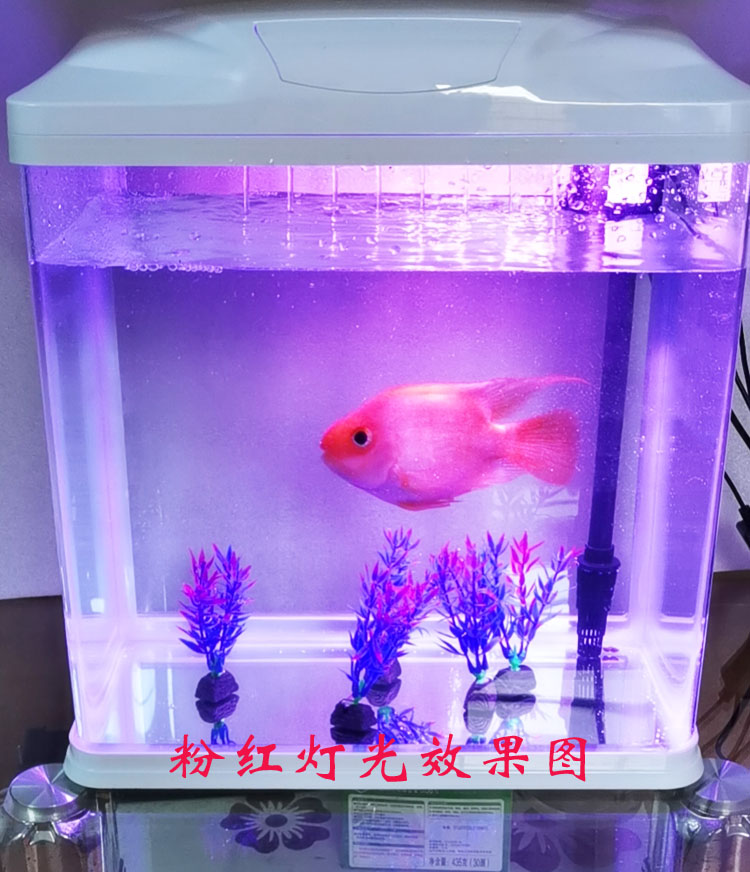 鱼缸水族箱专用LED灯小型鱼缸灯包邮-图2