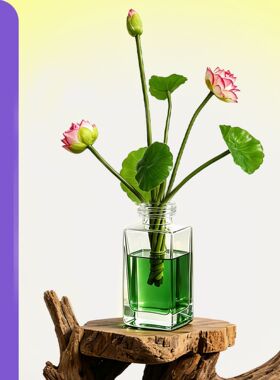 【荷花净秽】老师推荐莲花香薰摆件卫生间鞋柜厕所净污家居装饰品