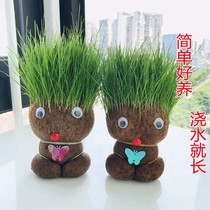 Long Grass Hair Doll Long Hair Green Plant Mini Cartoon Creative Diy Small Plant Potted Shakes Sound