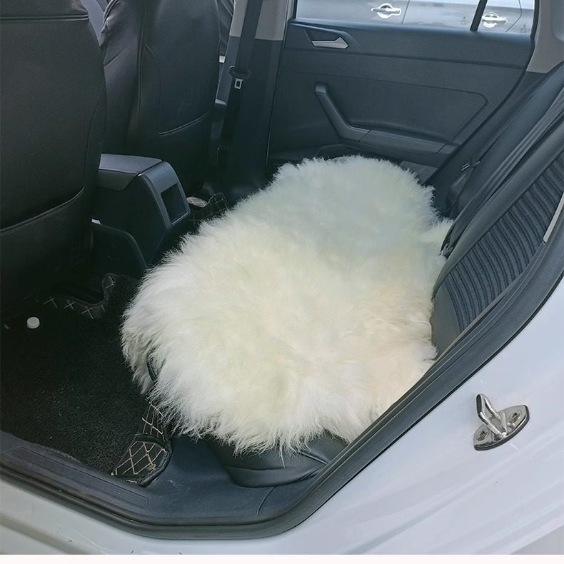 整张羊皮羊毛椅子垫皮毛一体卧室地毯飘窗汽车垫保暖防潮户外毯子,淘宝优惠券,粉丝福利购,淘宝优惠卷