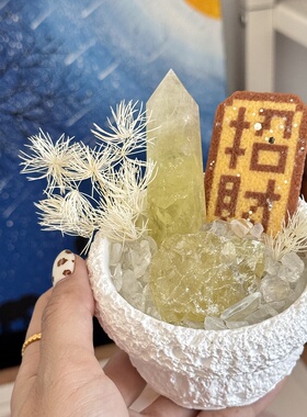 招财天然水晶能量净化盆栽摆件