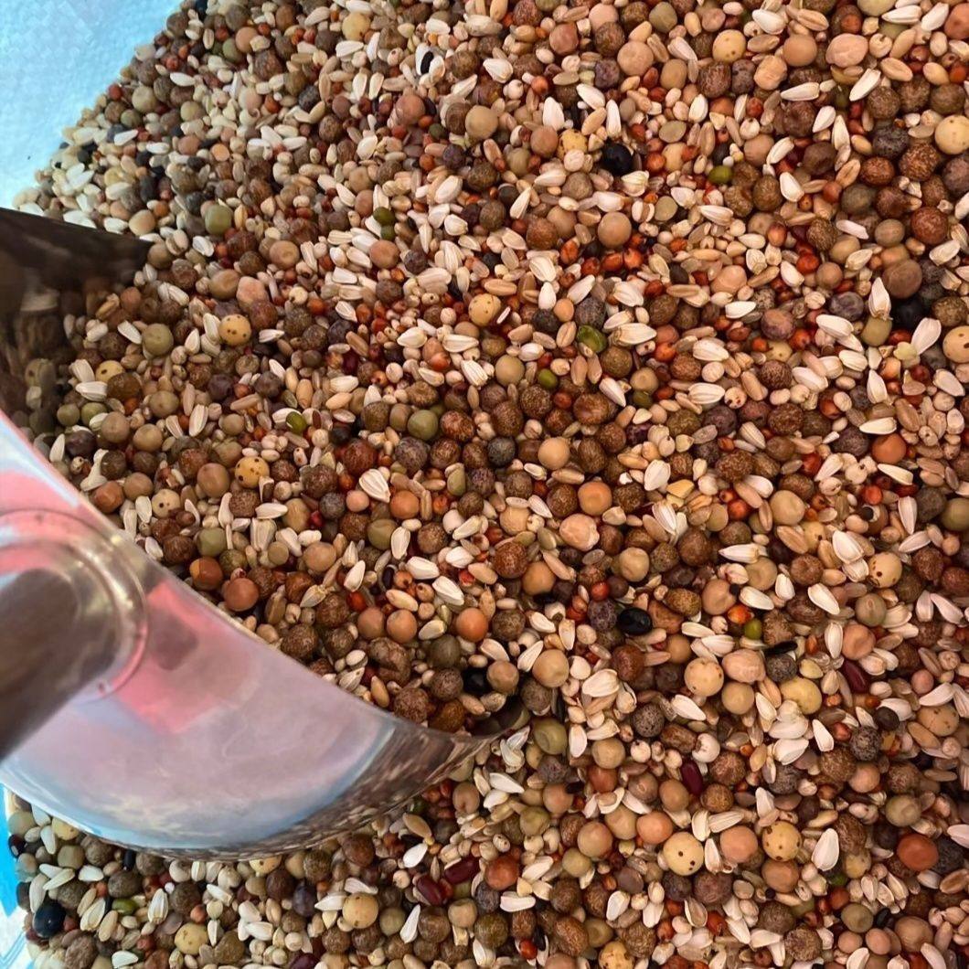 天友万家鸽粮经典职业幼鸽信鸽子赛鸽种鸽粮饲料10斤30斤50斤包邮,淘宝优惠券,粉丝福利购,淘宝优惠卷