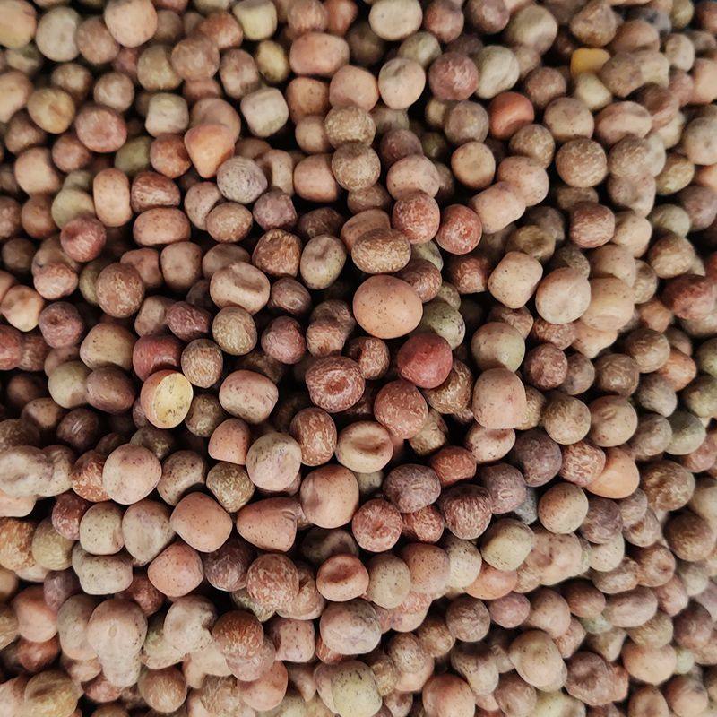 枫豆鸽粮枫豆麻豌豆鸽子赛鸽幼鸽种鸽粮饲料3斤5斤10斤50斤包邮,淘宝优惠券,粉丝福利购,淘宝优惠卷