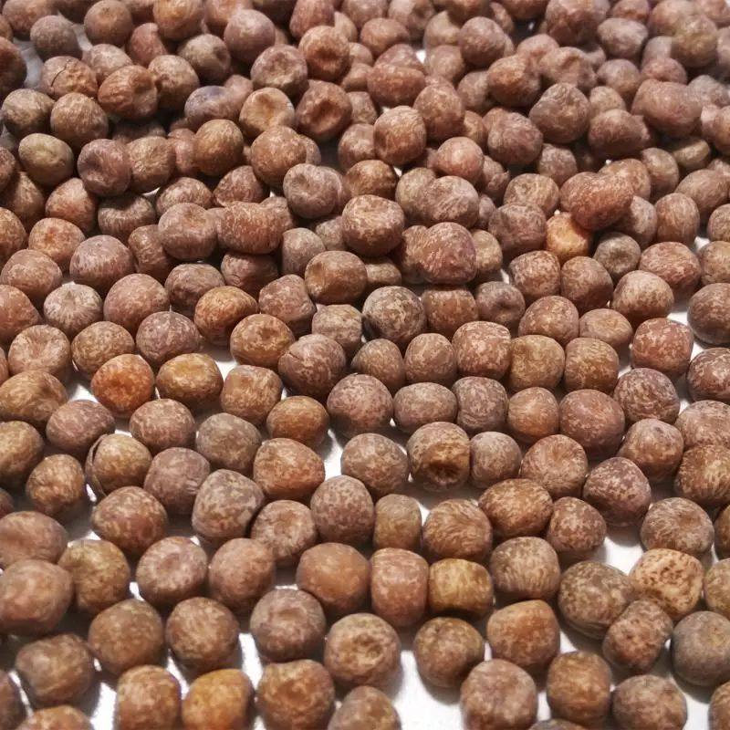 枫豆鸽粮枫豆麻豌豆鸽子赛鸽幼鸽种鸽粮饲料3斤5斤10斤50斤包邮,淘宝优惠券,粉丝福利购,淘宝优惠卷