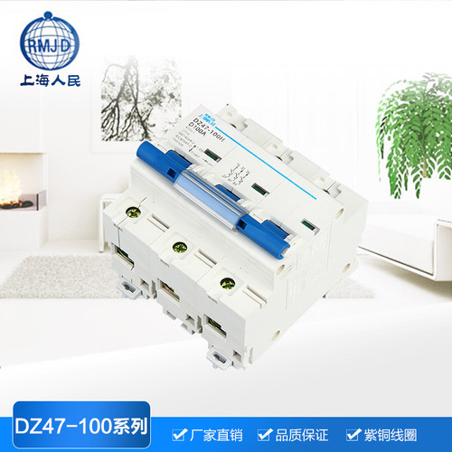 上海人民DZ47-100小型断路器导轨式空气开关100A125A1P2P3P4P80A - 图0