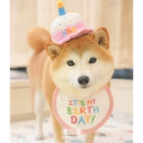 Оригинальная собака и кошка декоративная шляпа для рождения питомца Pet Bib