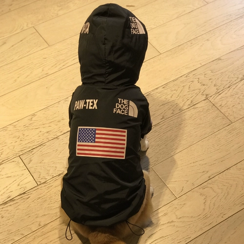 Джалочная куртка ветрозащитная плюшка Шиба Ину Корги