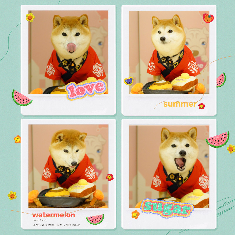柴犬狗狗衣服中型犬小型犬泰迪和服法斗柯基服装春夏服饰宠物用品 搜又搜