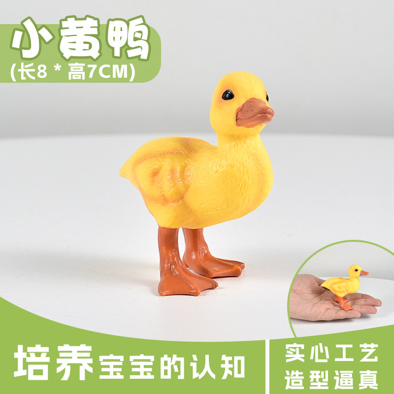 实心儿童农场仿真家禽动物模型玩具可爱大号小黄鸭Duck鸭认知礼物 - 图2