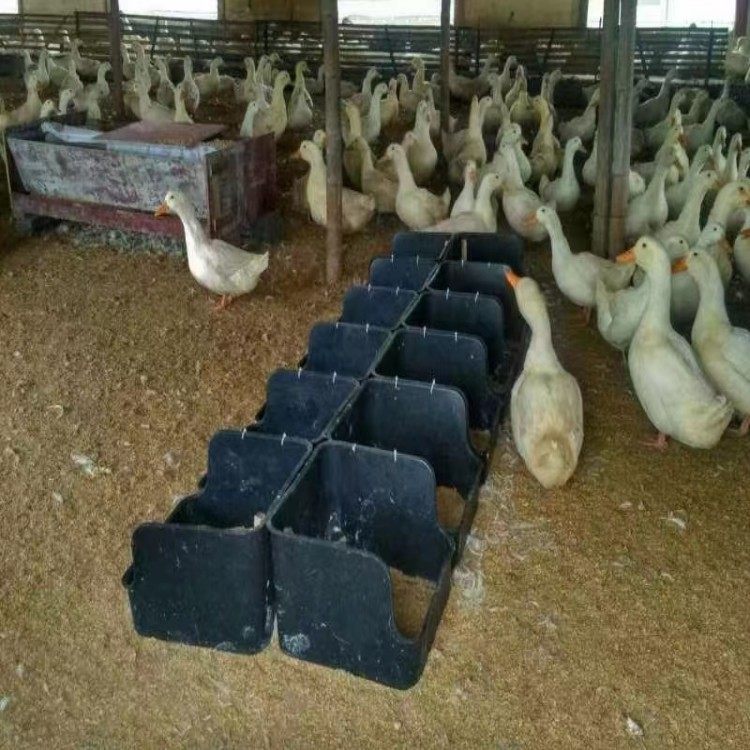 塑料蛋窝全新蛋窝鸡鸭子产蛋窝抗压耐摔聚乙烯厂家直销畜牧包邮,淘宝优惠券,粉丝福利购,淘宝优惠卷