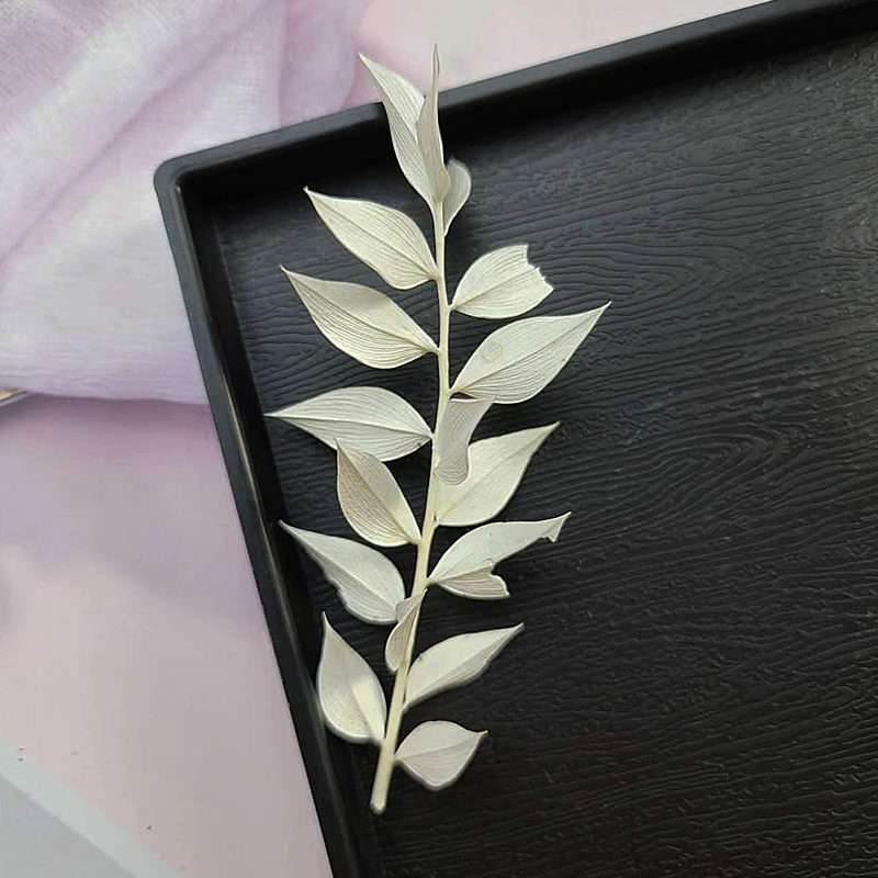 白色系永生花干花配叶配草配果DIY材料手工制作相框团扇团建礼物,淘宝优惠券,粉丝福利购,淘宝优惠卷