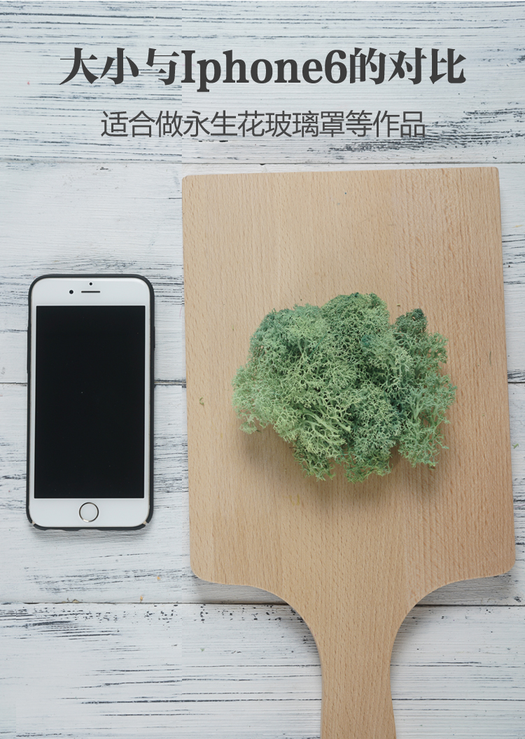 永生花DIY材料包苔藓水草青苔植物墙玻璃罩保鲜无杂质配草情人节 - 图1