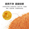 Shelled brine shrimp egg shell high protein betta fish guppy