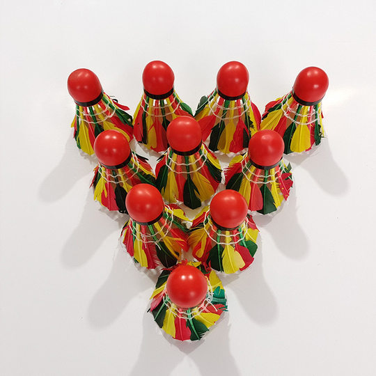 体育用品羽毛球 室外训练学习娱乐羽毛球 彩色红皮头10只装羽毛球