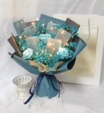 Звездная сушена