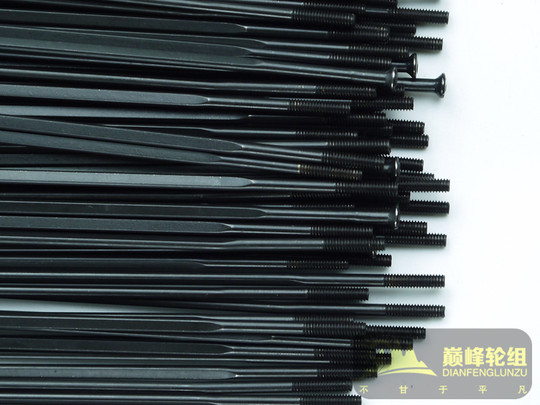 Imported stainless steel flat spoke Xieda broken wind