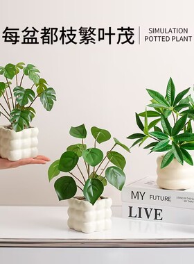 仿真植物盆栽摆件客厅盆景