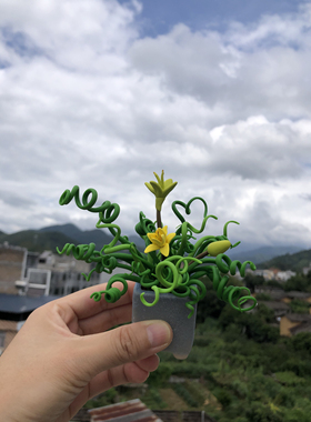 办公室多肉小盆栽可爱车载个性汽车装饰用公仔玩偶萌萌树脂纯手工