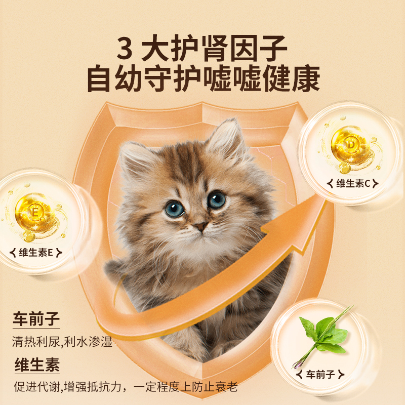 美滋元三文鱼猫粮幼猫1-12月5斤装小猫奶糕营养均衡幼猫粮2.5kg - 图2