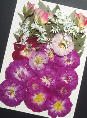 周周压花押花 月季玫瑰花团植物材料包DIY手工制作礼物