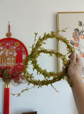 2026现摘新鲜嫩柳树枝条花环婚庆乔迁幼儿DIY清明道友工具
