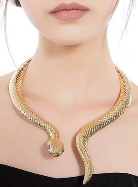 choker欧美夸张金属招财蛇形颈链