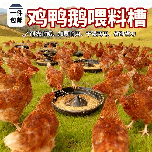 鸡食槽散养神器鸡鸭鹅通用喂料盆自动喂食器圆形聚丙烯饲料槽 - 图1