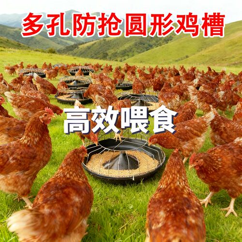 鸡食槽散养神器鸡鸭鹅通用喂料盆自动喂食器圆形聚丙烯饲料槽 - 图2