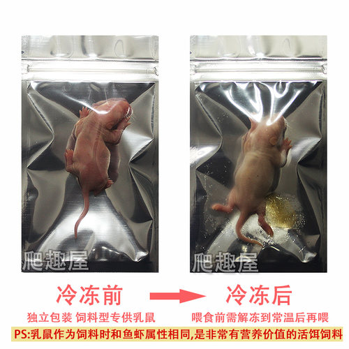 冰冻乳鼠爬虫食物宠物粮乌龟饲料活体小老鼠红皮冻干粉皮白霜裸鼠 - 图0