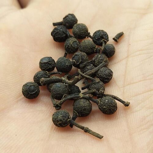 木姜子500克包邮干货 新鲜野生 山苍子毕澄茄粉山胡椒中药材香料 - 图1