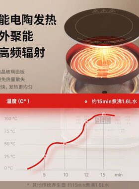APIXINTL恒温多功能养生壶炖煮