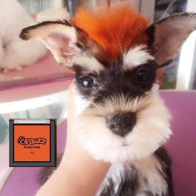 OPAWZ小爪印快染彩盒猫咪狗狗宠物腮红一次性染色剂/染毛粉染色膏 - 图1