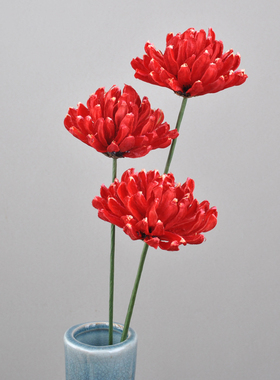 天然干花花束爱丽丝真花客厅摆设