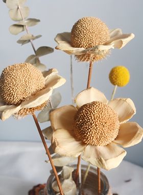 含笑花干花束复古手工家居摆件