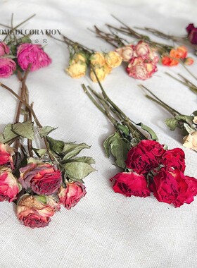 手工DIY迷你玫瑰干花材料