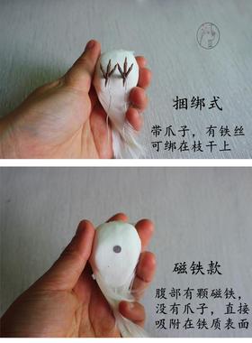 卡萝琳小白鸟羽毛鸟文艺复古摆件