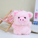 Dundun ຕາຕະລາງງາມ companion doll ຫມູມີກິ່ນຫອມ doll ຊຸດຕົບແຕ່ງ doll companion plush toy ສາວຂອງຂວັນວັນເກີດ
