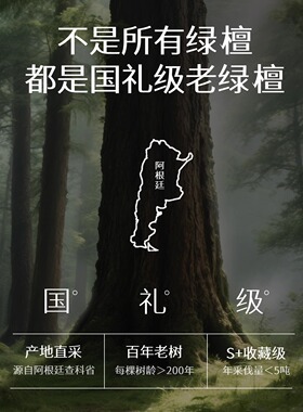 普陀山绿檀和田玉沉水级佛珠手链
