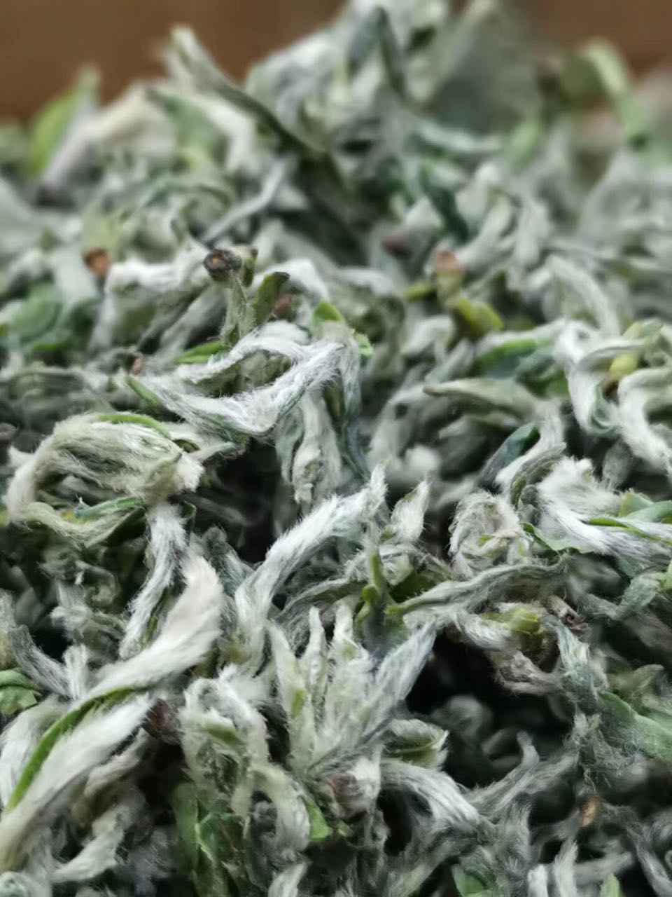 兰花茶2022新茶特级四川兰花蒙顶甘露茶叶雪芽兰妃雪竹兰花100g