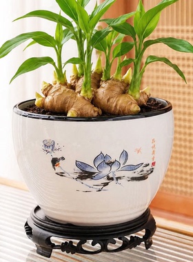 禄根大口径专用土培花盆桌面种植盆手绘莲花寓意好粗陶种生姜器皿