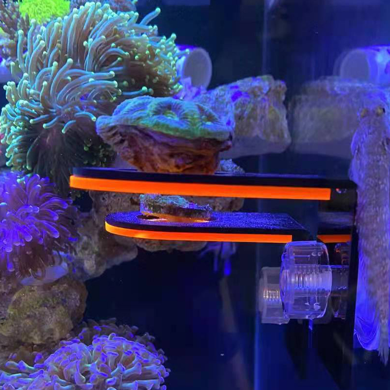 海缸荧光珊瑚支架发光亚克力托盘SPS断枝座基石繁殖磁吸悬浮造景 - 图3