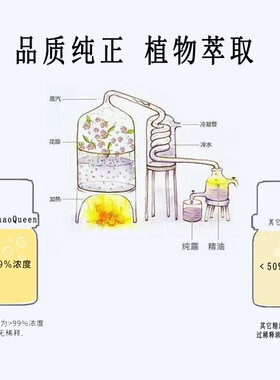 白茶100ml单方精油香薰按摩芳疗