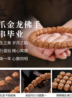 高货五爪金龙佛手小金刚菩提手串龙切核桃原籽单圈文玩佛珠手链男