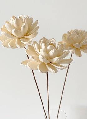 植物通草花手工莲花家居装饰东方干花花束民宿大厅书房摆件