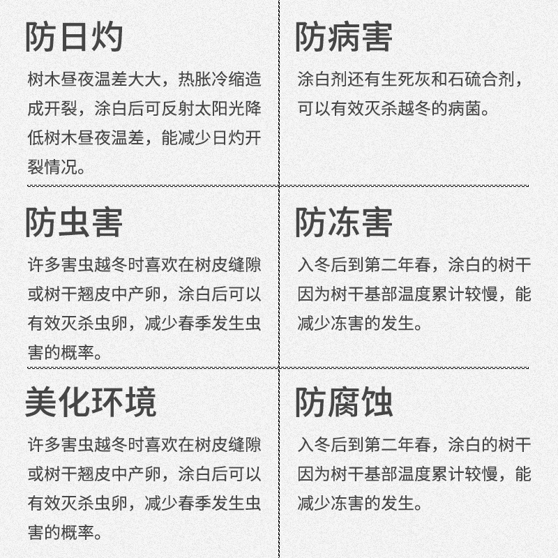 戴侬园林果树树干涂白剂大树涂白粉树木刷树防虫防病抗冻树木越冬 - 图0