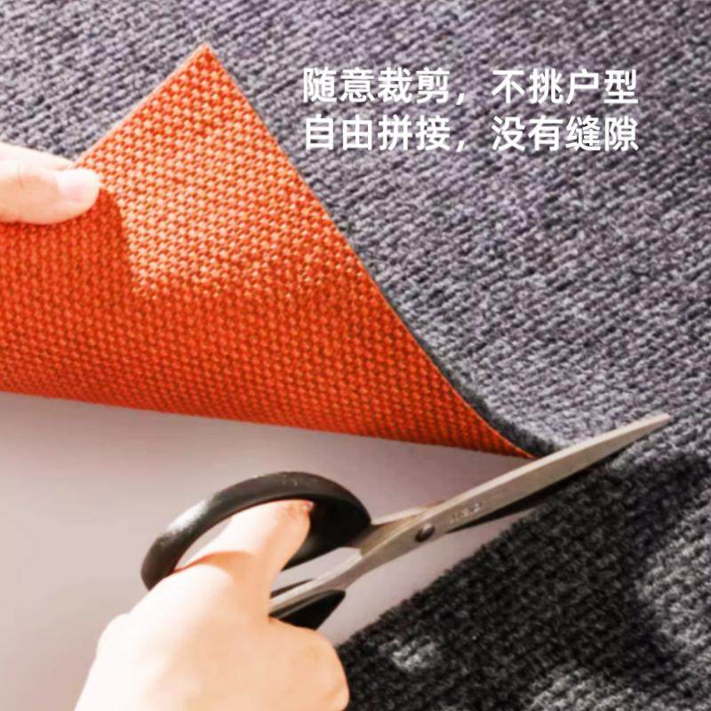 家用商用满铺隔音地毯门口地垫入户门垫进门客厅防滑可裁剪可定制,淘宝优惠券,粉丝福利购,淘宝优惠卷