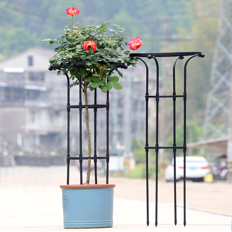 园艺伞形玫瑰爬藤架月季铁线莲攀藤蘑菇蔷薇花架绿植支架杆户外