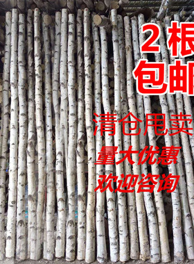天然白桦树枝树杈田园橱窗玄关隔断背景墙装饰树枯树干造景树摆放