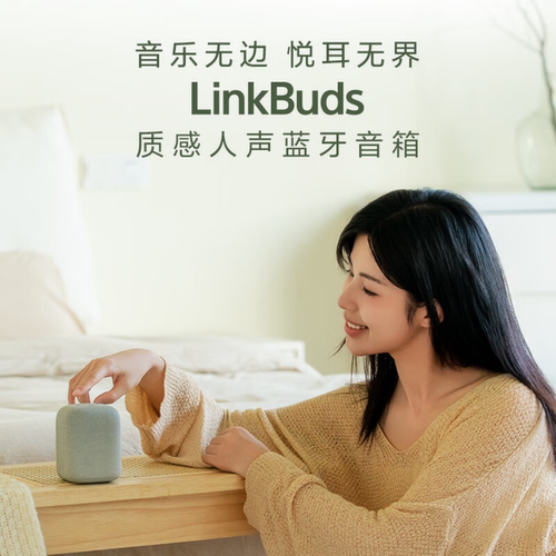 Sony/索尼 LinkBuds 无线蓝牙音箱  音乐盒 质感人声 - 图0